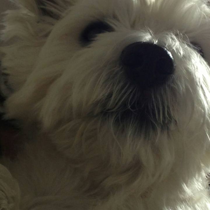 078a7b62 91d7 4f78 9a86 7c8c29f41e1b