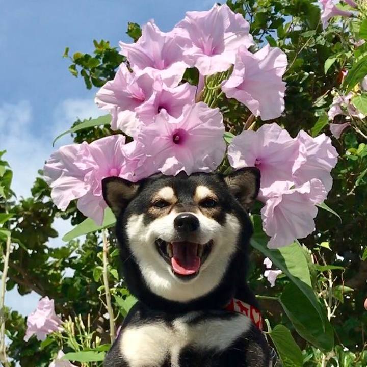 078ad3d5 96b2 45d7 8fd3 f9bd7bdaca9d