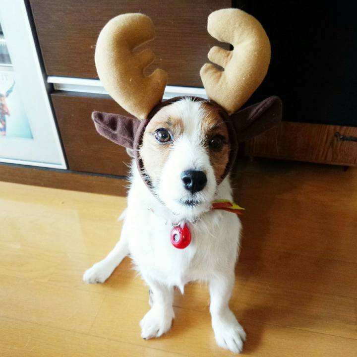 078b00b9 64cf 4d99 82ba ecdc94c0aad8