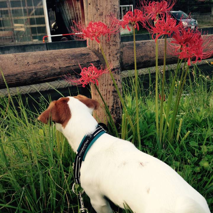 078b02d0 765a 4c5e 92d4 8faa8b09b5a6