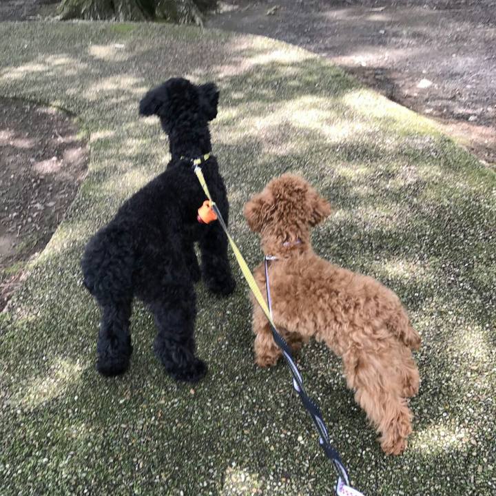 078b16b7 14f9 4770 9d23 2edfa773991f