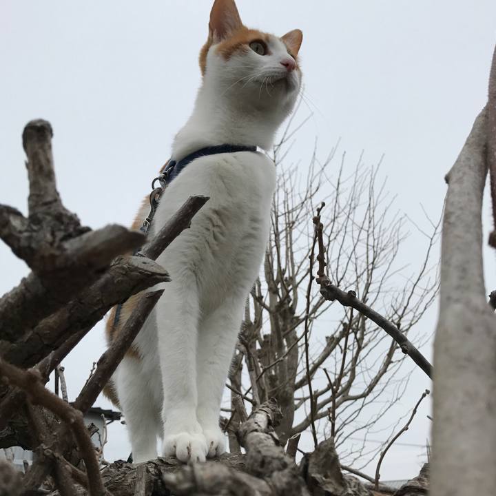 078ccddc 4163 4455 a3b0 eaed5d07fc43