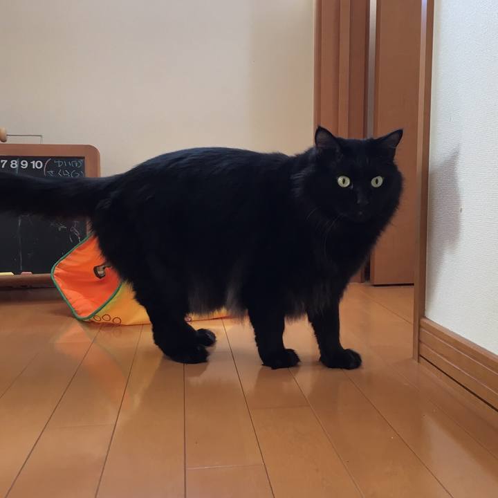 078ceddb 4b31 42b7 ab5a 3c07cb7de4b5