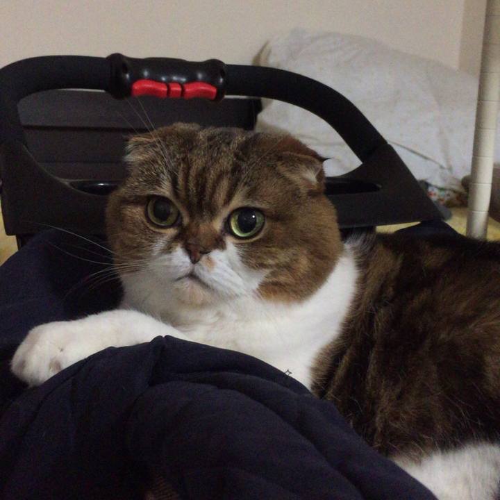 078d1801 0983 45e8 b080 990d73df1dd1