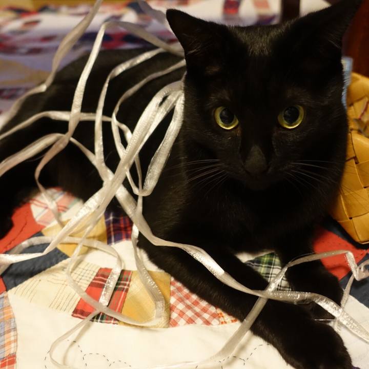 078d5cea 6099 4943 8991 1041fe7b23de