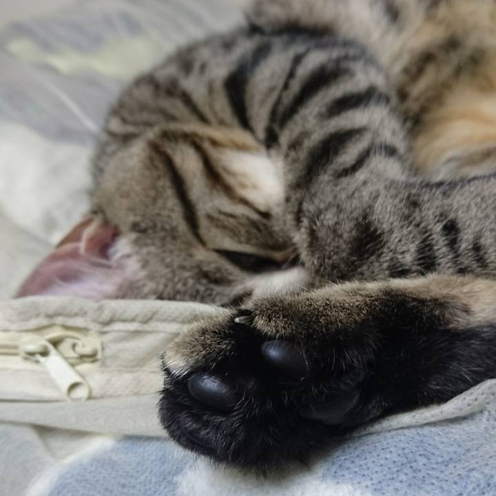 078e3d4c 3fb0 4ffb aefe 420d62ac304e