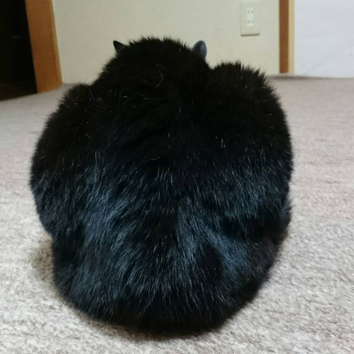 078e5283 5f6f 4555 866e a30f30fe58f9