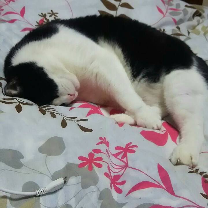 078e70f0 bf18 45de 9854 cedaf8715b3d