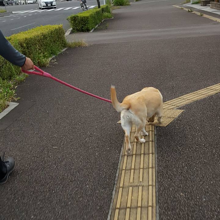 078f289d d0f3 41b3 8bfb f2869528379c