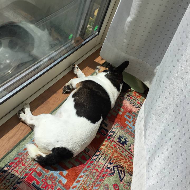 078fc400 52da 4284 9063 78a99a6788a0