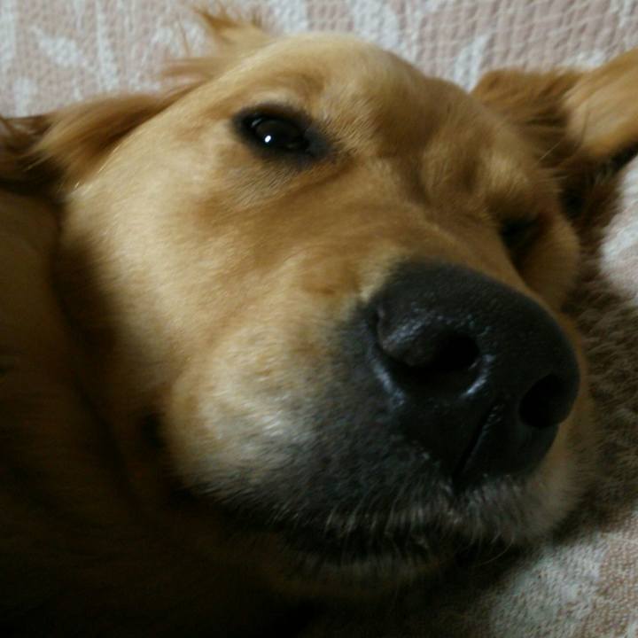 07901b26 e9ff 432c 9a02 f8d330ee4035