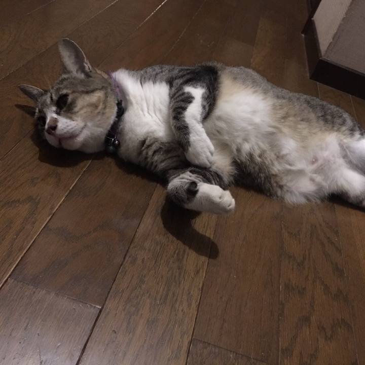 079065b1 28ac 41d9 84e4 5a4173e51dc4