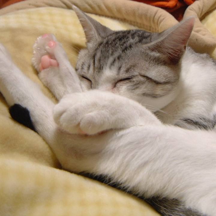 07914278 4abd 46c5 9c1d b67598e68cce