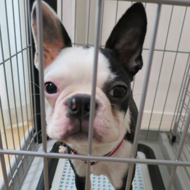 0791bd62 ab4a 445c 849b 0061e0a652ad