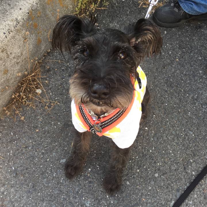 0791e018 197b 4960 aedb 3a7ad2cfe7e7