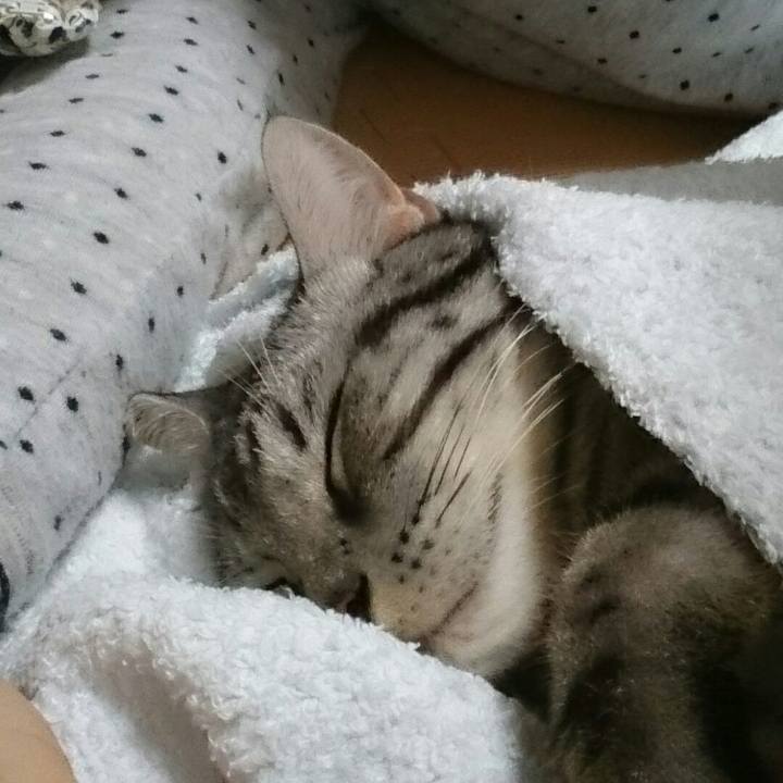 0791e0ef 3565 4eaa 8417 b2b866bc6321