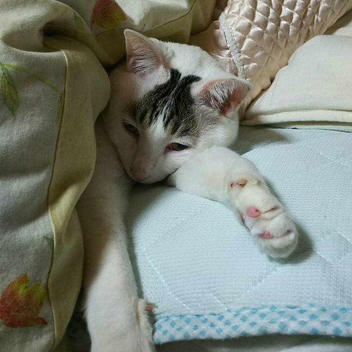 07926420 1bb1 4390 bc91 91a77867c0d8