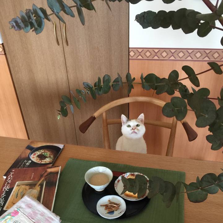 079268a1 36ab 4abc b5fc 6f2565452371