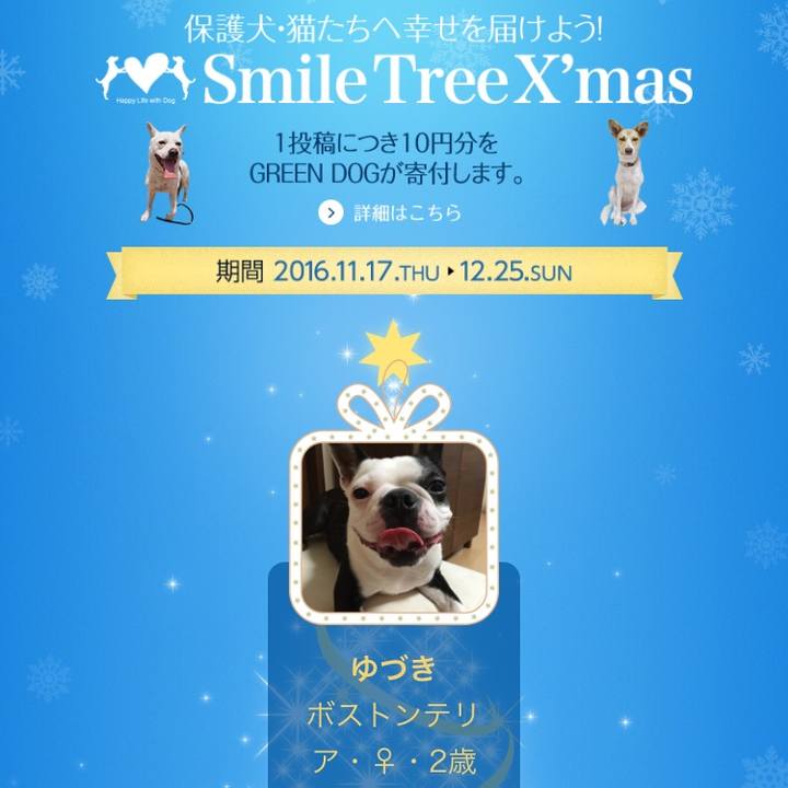 0792e3ee 4a4c 4cc5 839b 15a72e227756