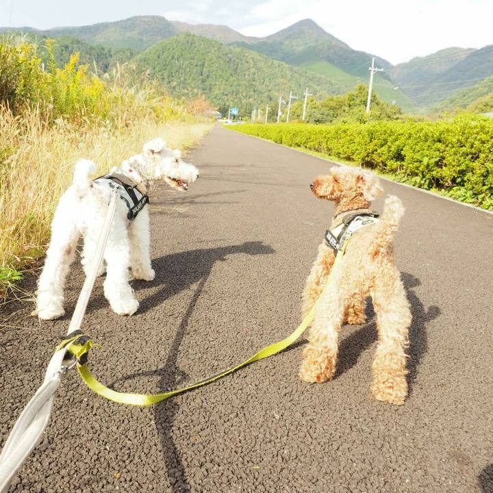 0793577d d54d 4132 8f10 f60e2a4cf119