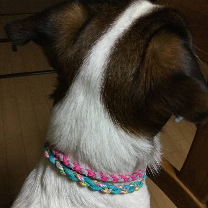 0793a483 c234 4a7c a756 fac928017bab