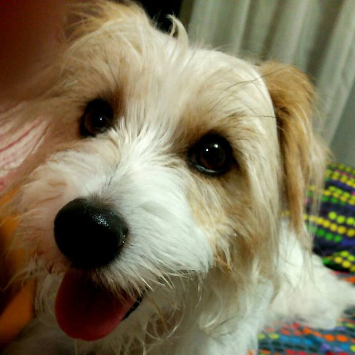 079404ef bc3f 4b34 b743 7189392827dc