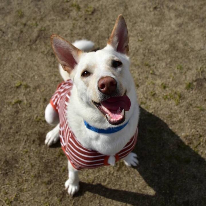 0794d657 186f 4484 8a2a e6d054a7a4df