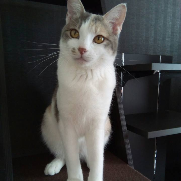 0795cd62 4cef 415f b80a dc29897d5ef5