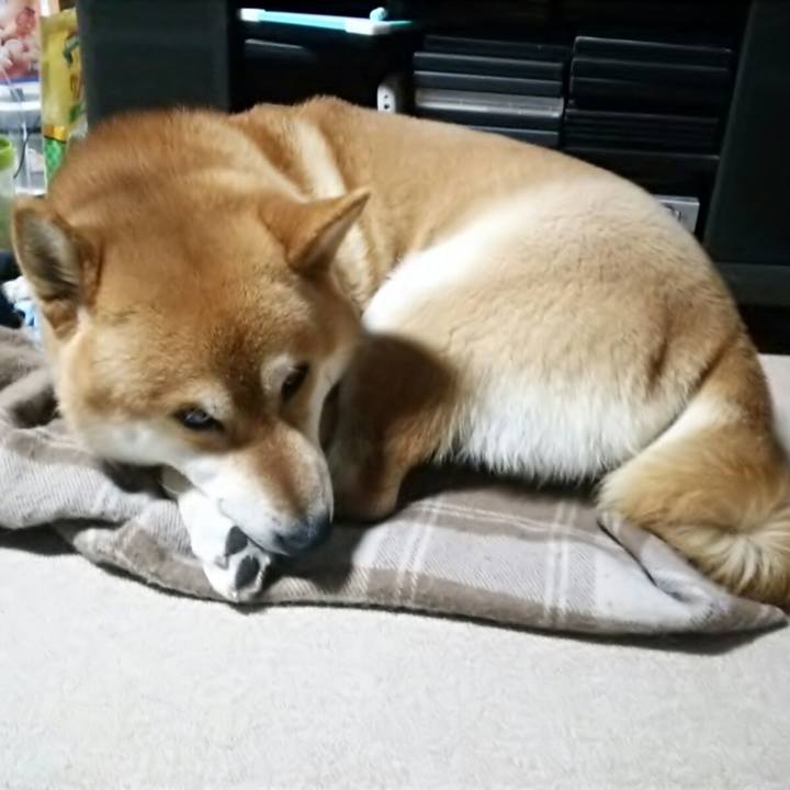 0796a3a3 5e10 4f5a 8d8d 223d55189f9f