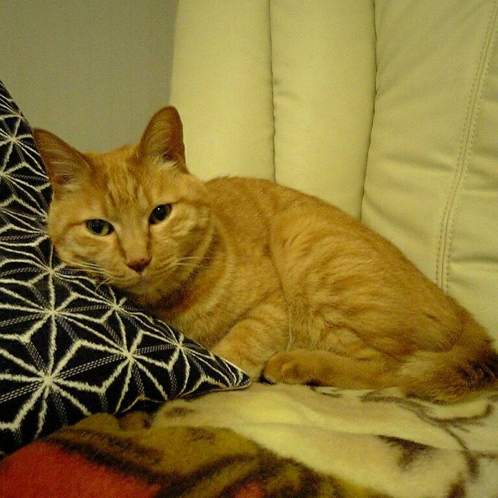 0796ece7 f618 4ff6 a1ef 0ef1dbade864