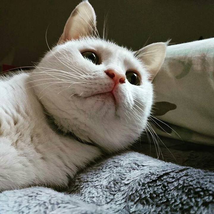 0796f92f 5735 4cbb 9171 973d7ebd5f96