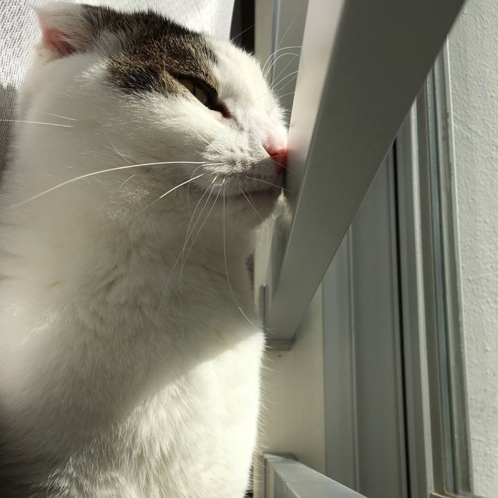 07977598 a5f4 4606 bd29 e5580c7c84cd