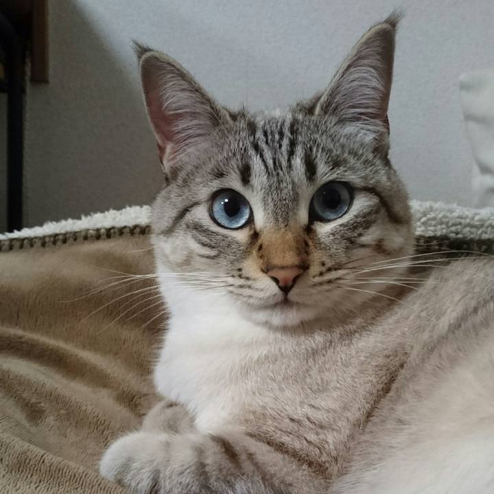 07978275 3e5a 4eed 968b 71b54e8b9727