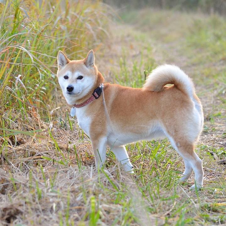 0797e0b2 3c65 493e 93b5 0f46f1c10ded