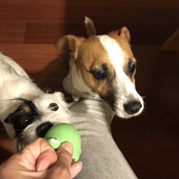 079891db cbd3 4688 b540 96977121dd1c