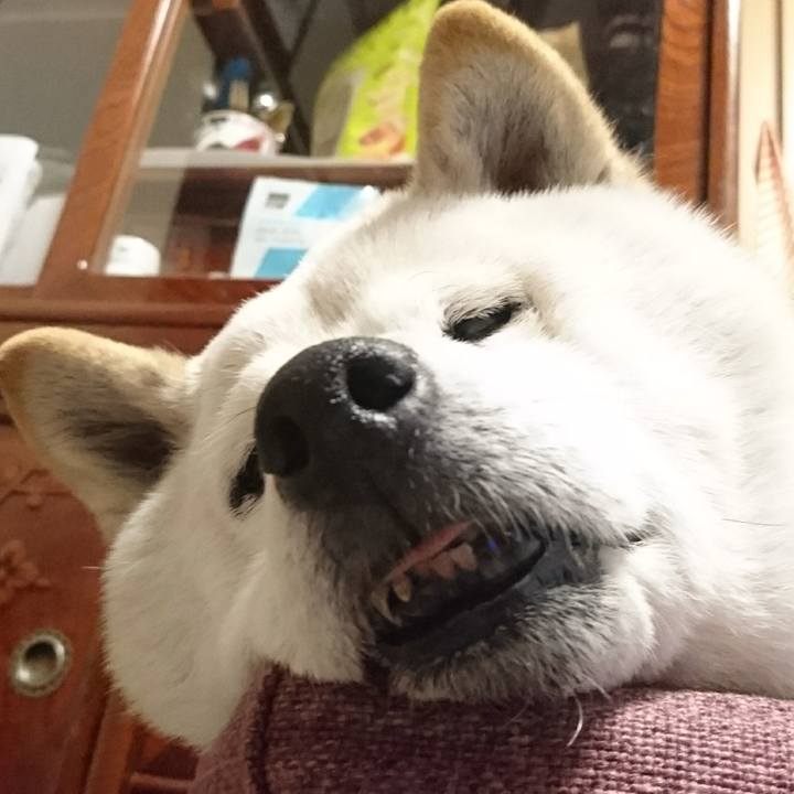 0798aacd 583b 4960 b0b5 e52ee8dc99e1