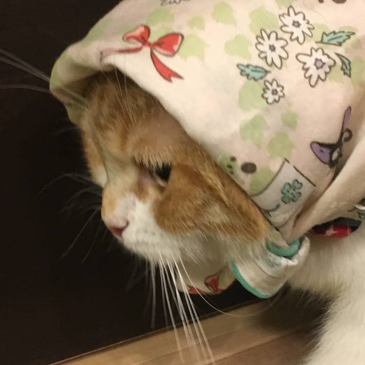 0798c5e9 180e 440f 9095 215598b423fb