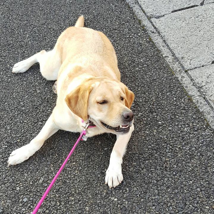 0798e26d 0b57 4a09 bf00 d683036b225f