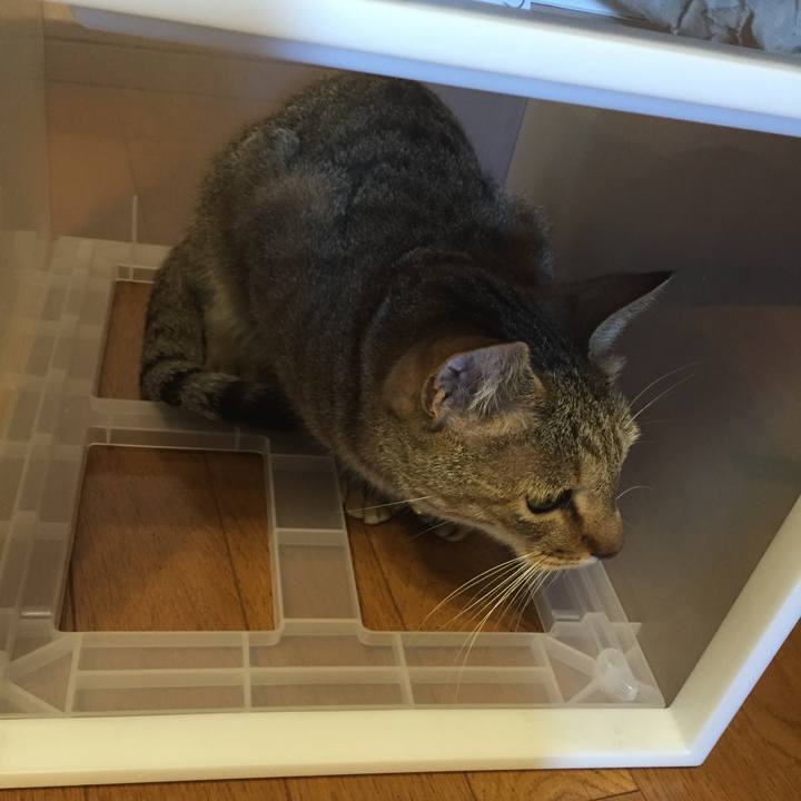 07999cea 2d26 430c b819 c1c8c78269bc