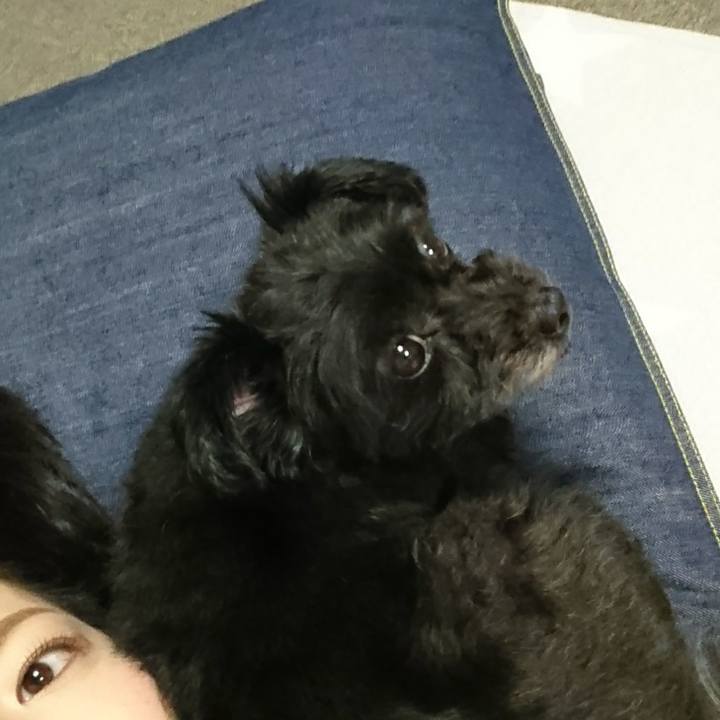 0799ab4c 98aa 44a5 8c7b 827415ddcbd8