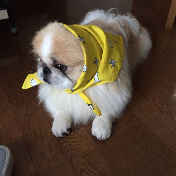 0799d3fd dce3 49b7 8765 0f0a5d1e2db8