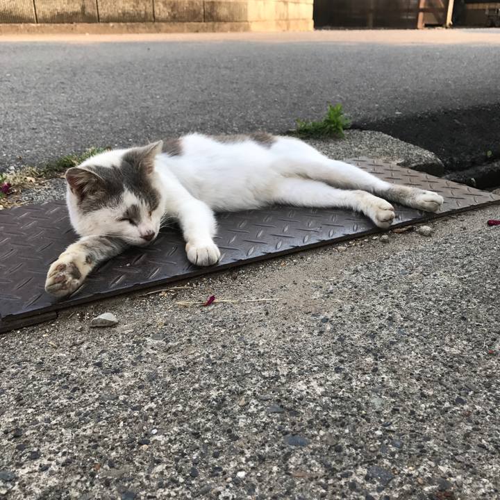 0799fbe1 4a06 4519 8045 834b919fc6de