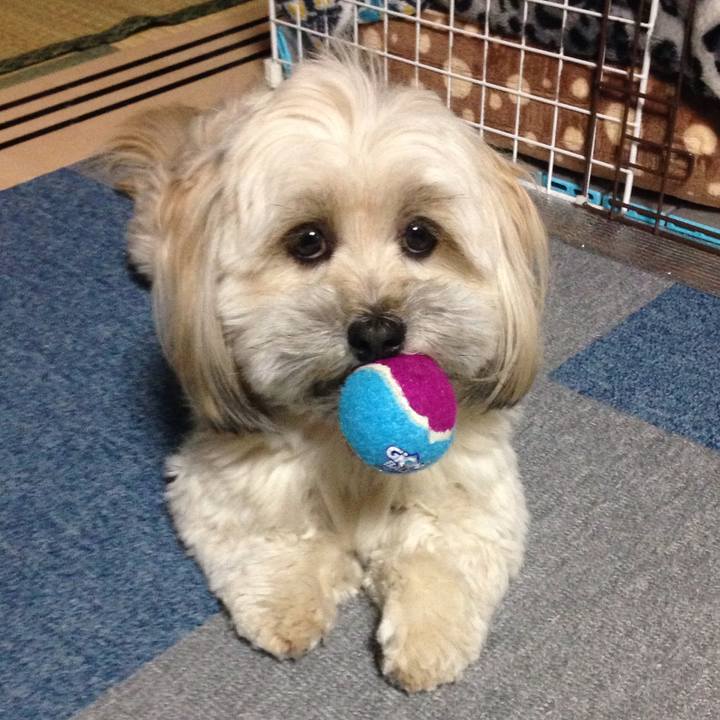 079b97f9 e770 4c0d b0e6 1b16ae68d1c0