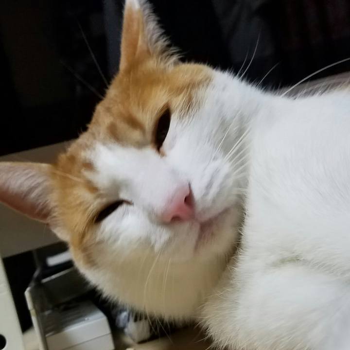 079baf4a 9a24 4378 afc8 d3421734dc9e