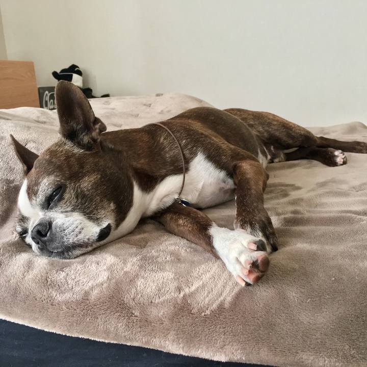 079c7061 4b08 438d 951d 9937b336f9de