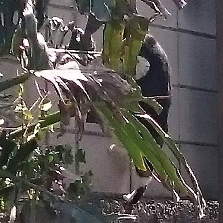 079c8c48 6c5d 4bfc ad1b 031d6590bff1