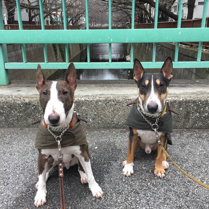 079ca9ec 41e9 4dbc 8aef c4bc9a2706c4