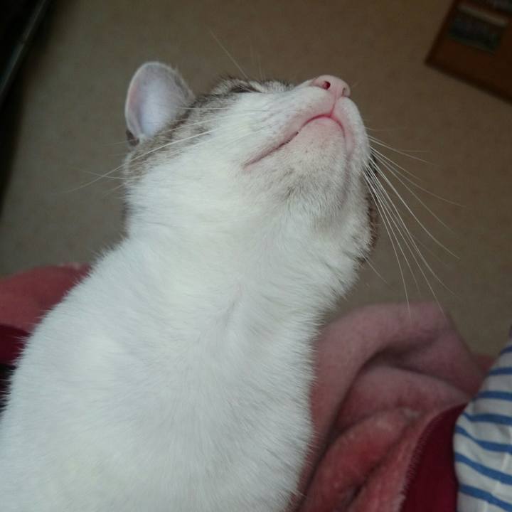 079d3b78 8c49 445a 9594 d7dfb1d62707