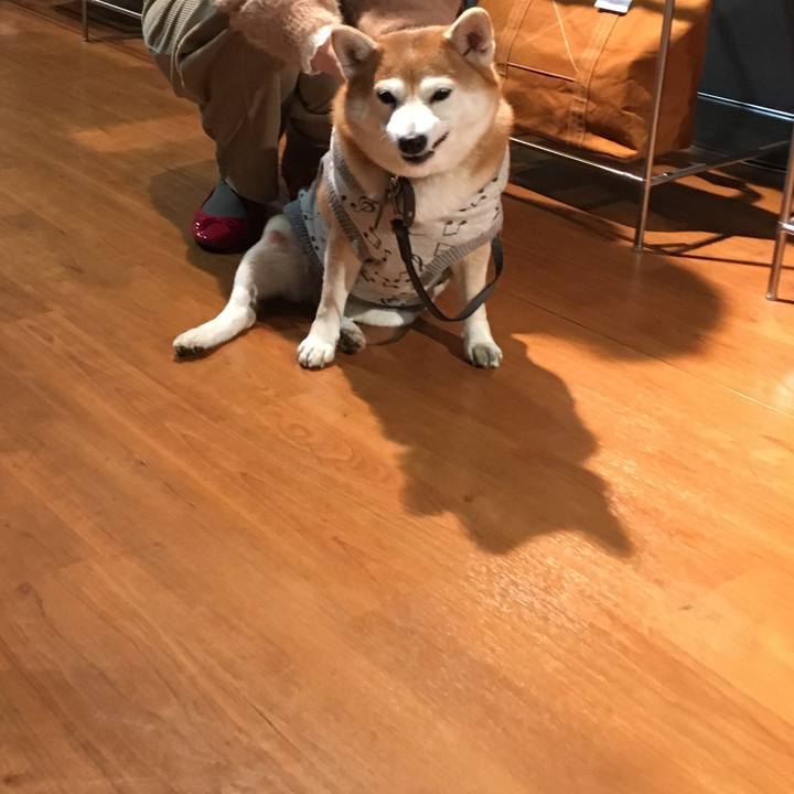 079d55f5 742d 48b6 a6e8 8c8e7db374af