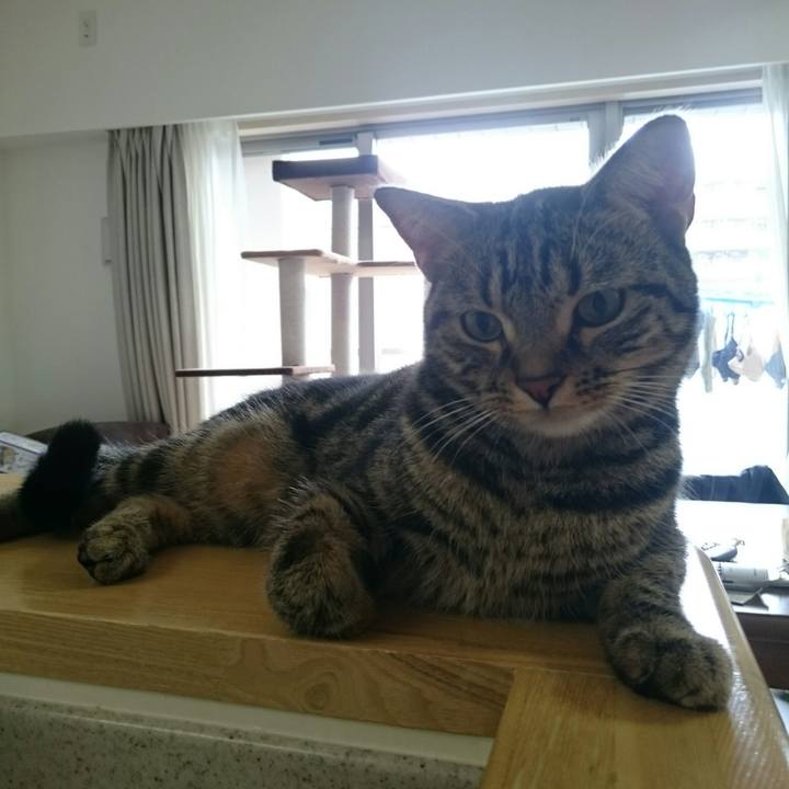 079d70e8 c3ea 4cd3 baa2 bb061c916aa2